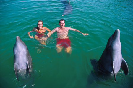 Delfin Schwimmen in Xcaret